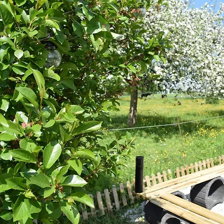 Naturgefluester * Morbach