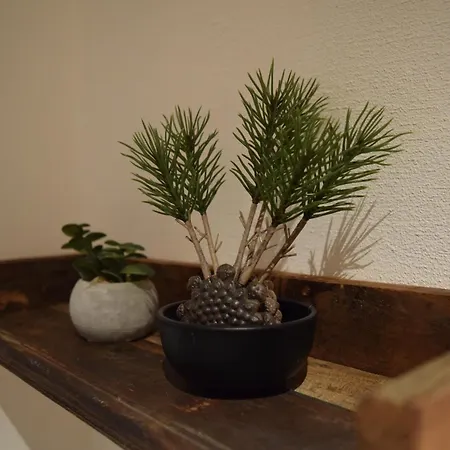 Dom wakacyjny Naturgefluester